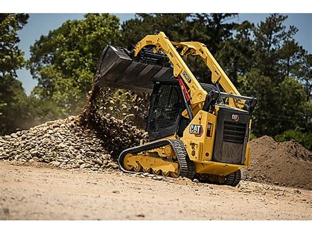 bobcat vs cat 259d3